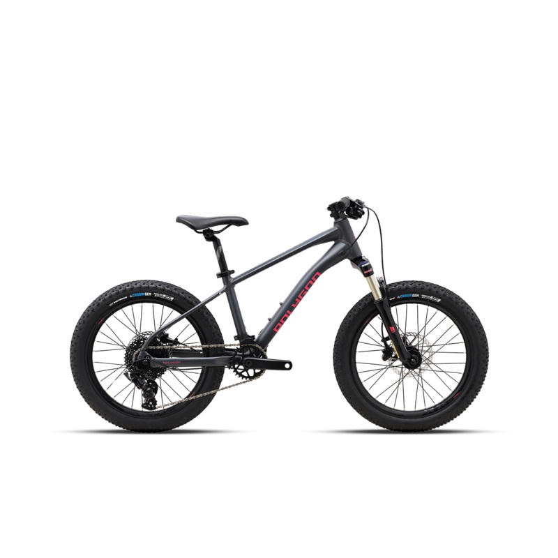 Polygon Xtrada 20 Kids Bike|Charcoal|One Size