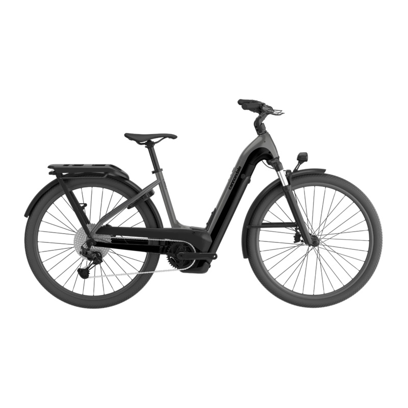 Tesoro Neo X 1 Low StepThru|XL|100mm|135mm