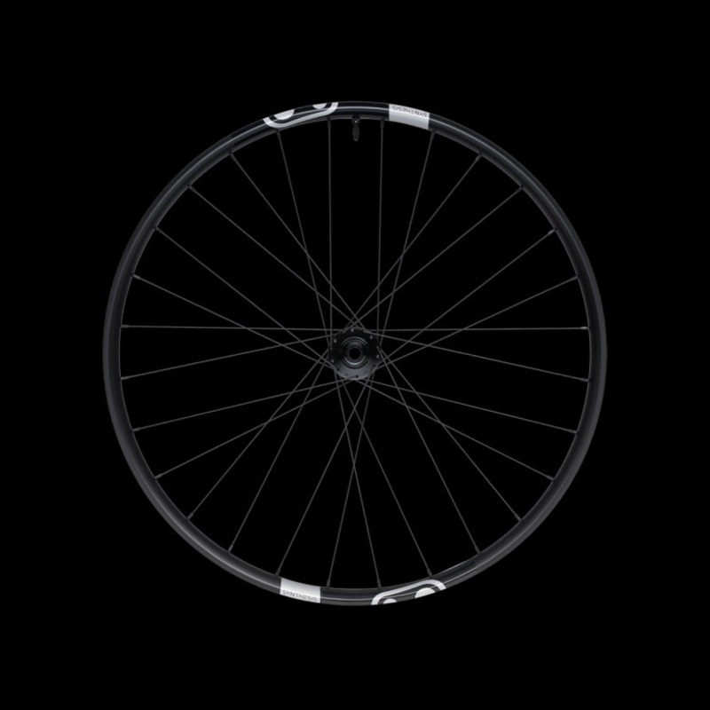 Crankbrothers Synthesis Alloy 2.0 E-Bike Front Wheel – 29