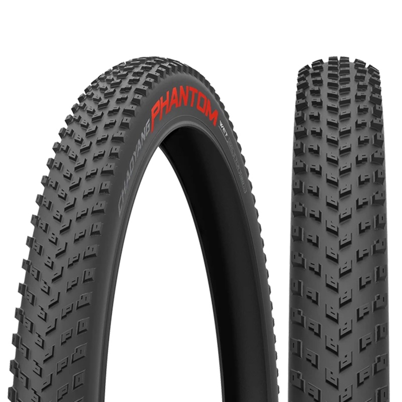 Phantom Wet 60TPI Tubeless|29|2,20