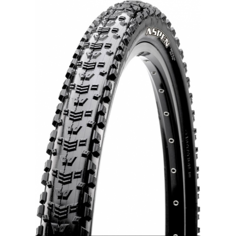 Aspen TR/EXO 3C Maxxspeed|29|2,25
