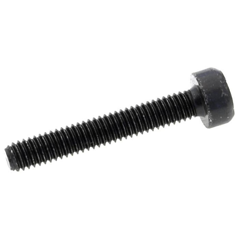 Hayes Replacement Master Cylinder Clamp Screw 4mm