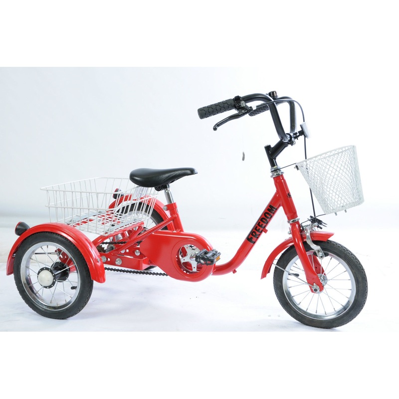12 WHEEL TRICYCLE FREEDOM HEAVY DUTY IDEAL SPECIAL NEEDS TRADITIONAL EX-DISPLAY