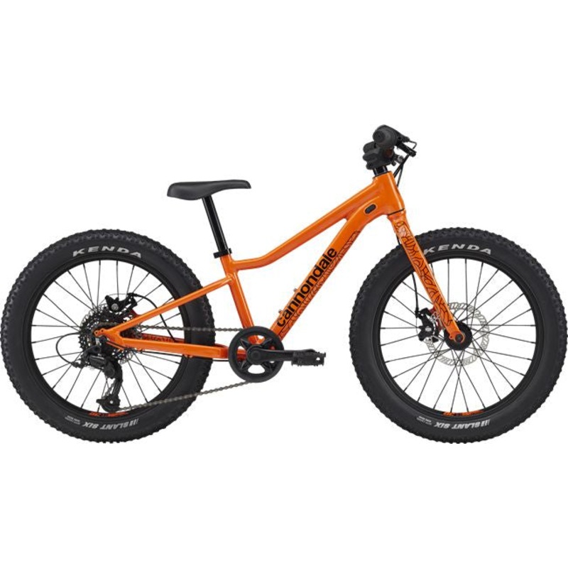 Cannondale Kids Trail Plus 20 Kids Bike